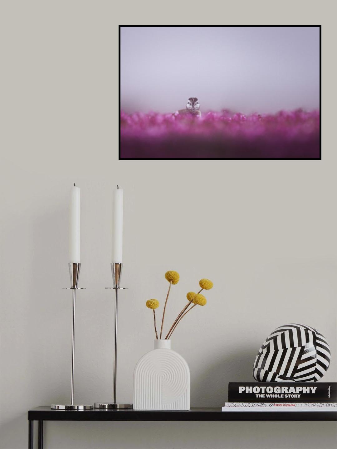 Dotterel Poster och Canvastavla