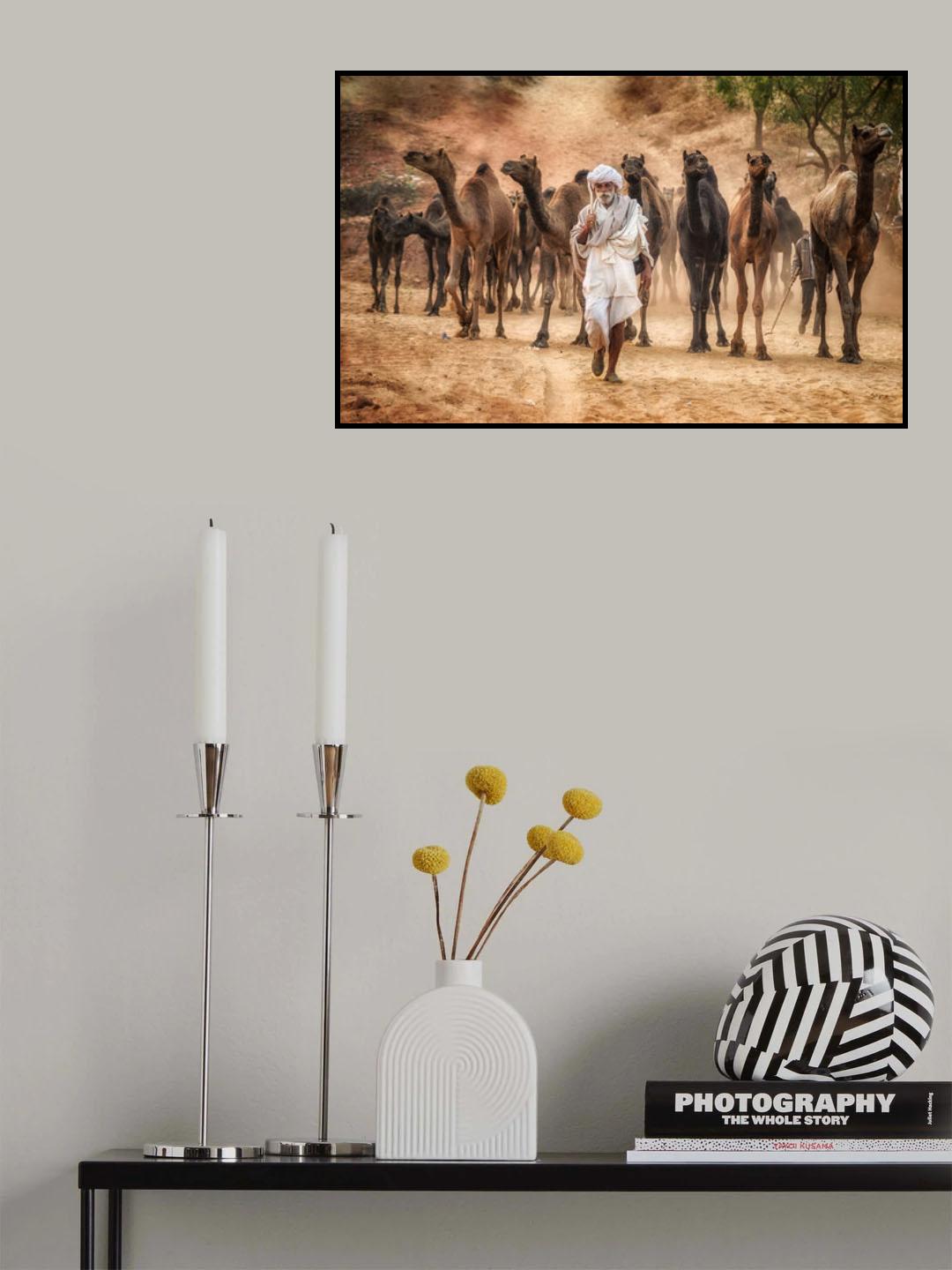 Directing the herd Poster och Canvastavla