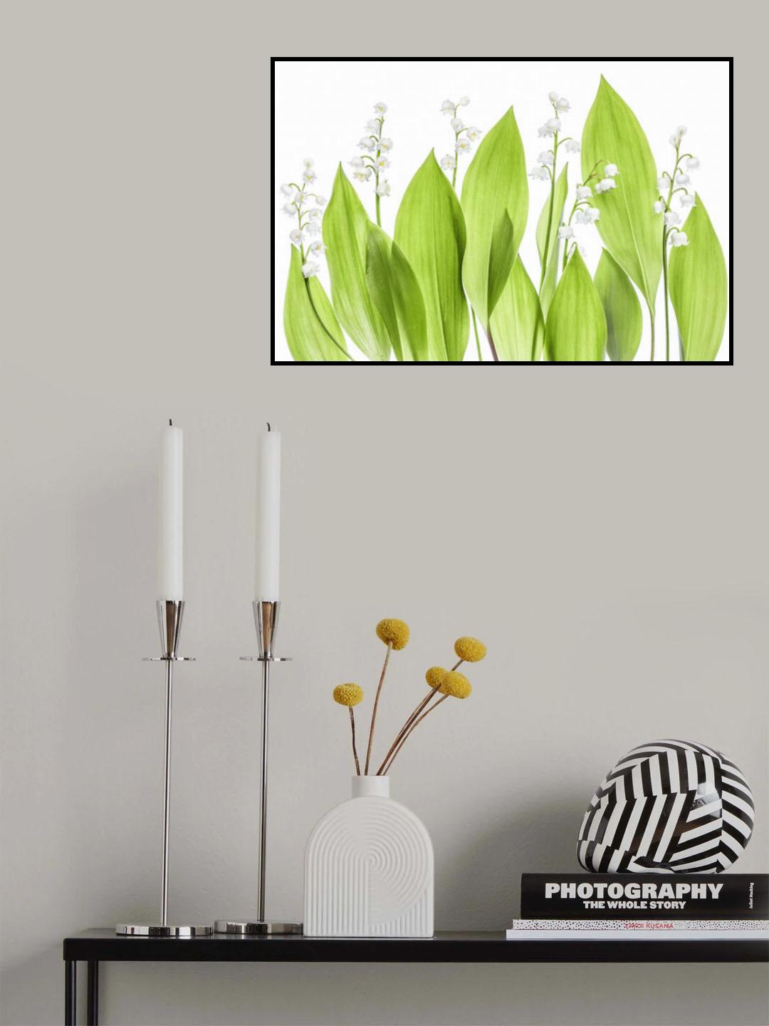 Lily of the valley Poster och Canvastavla