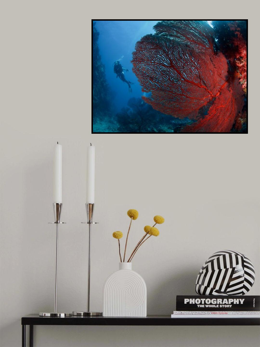 Passions on Fiji Poster och Canvastavla