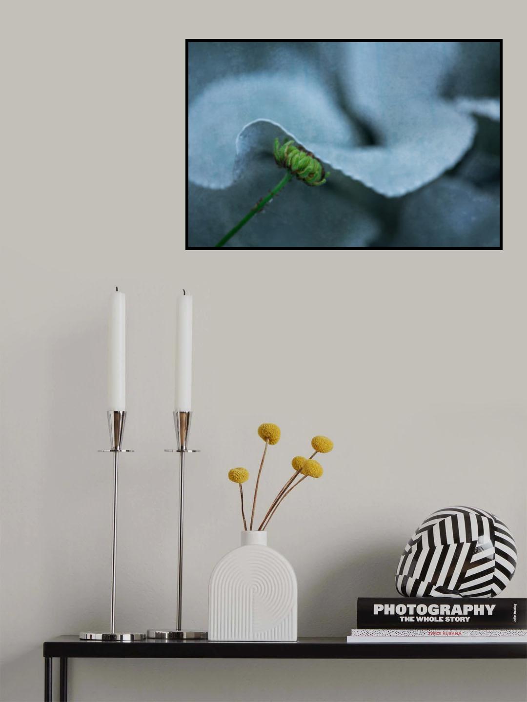 Hide in the shade 2 Poster och Canvastavla