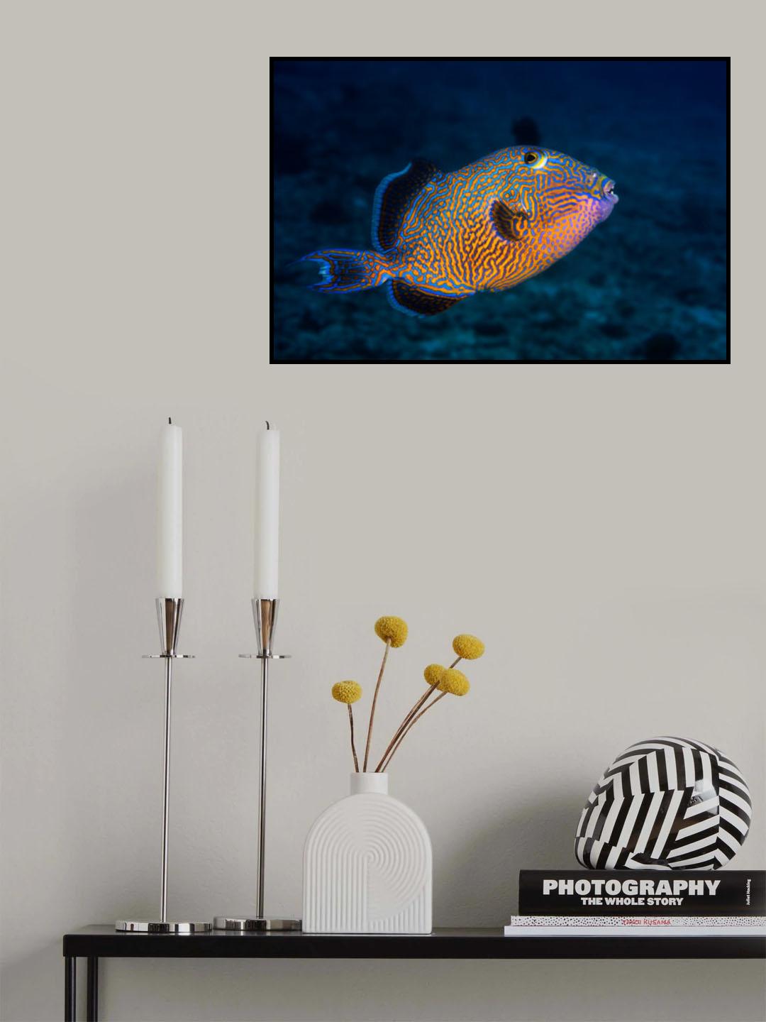 Blue triggerfish Poster och Canvastavla