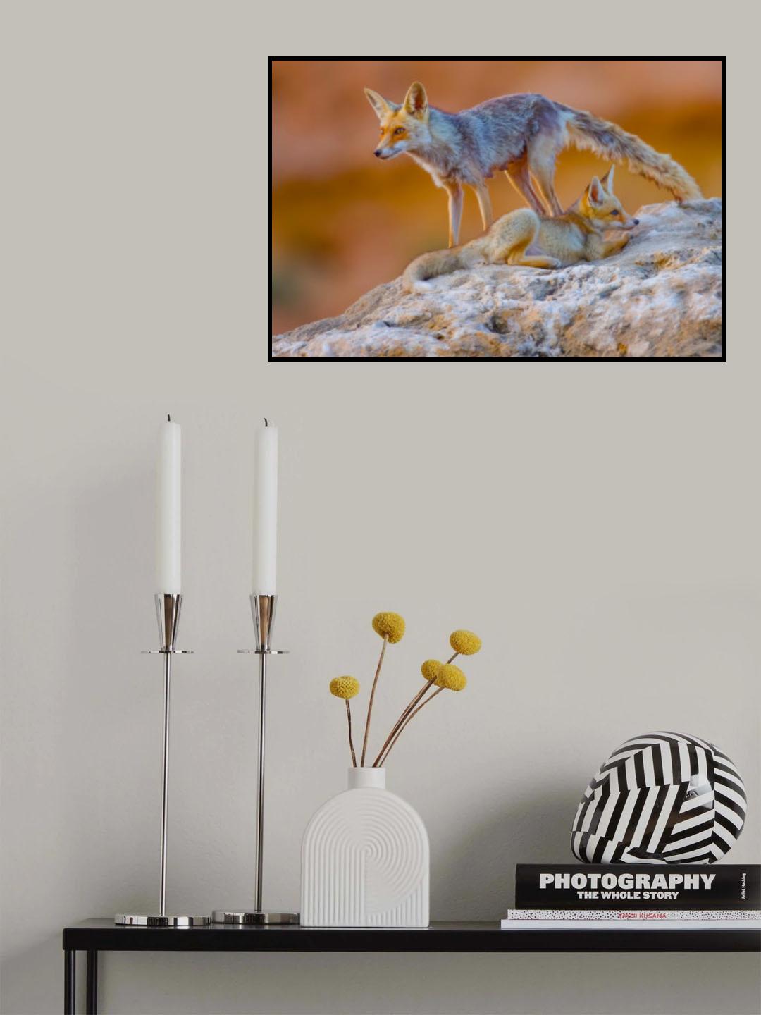 Fox family Poster och Canvastavla