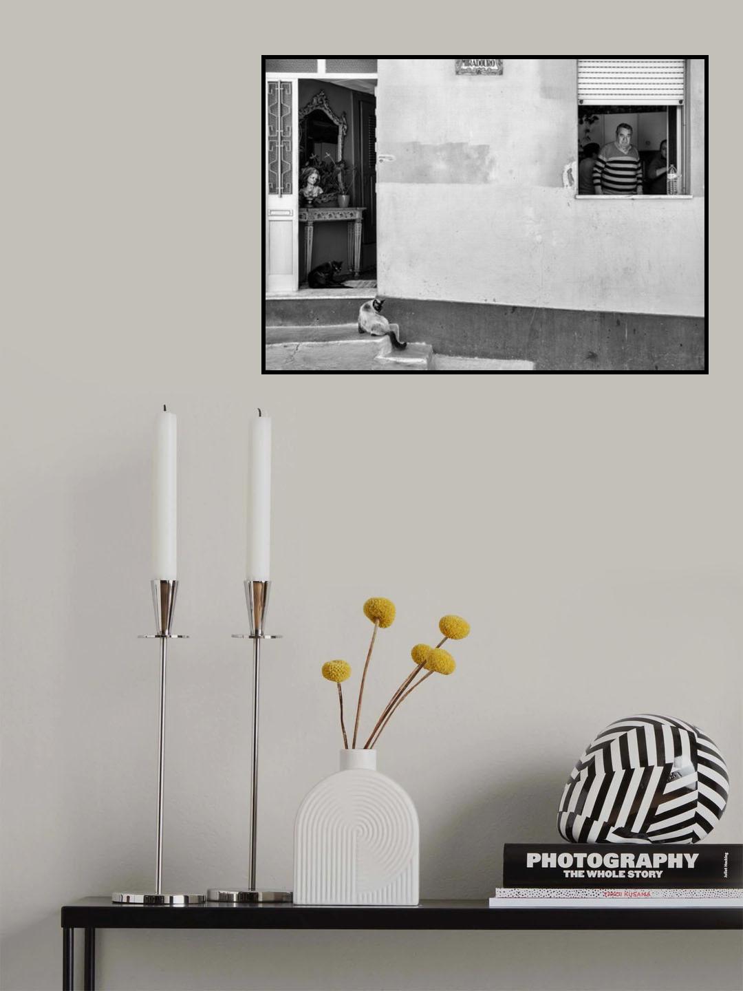 Miradouro (Viewpoint) Poster och Canvastavla