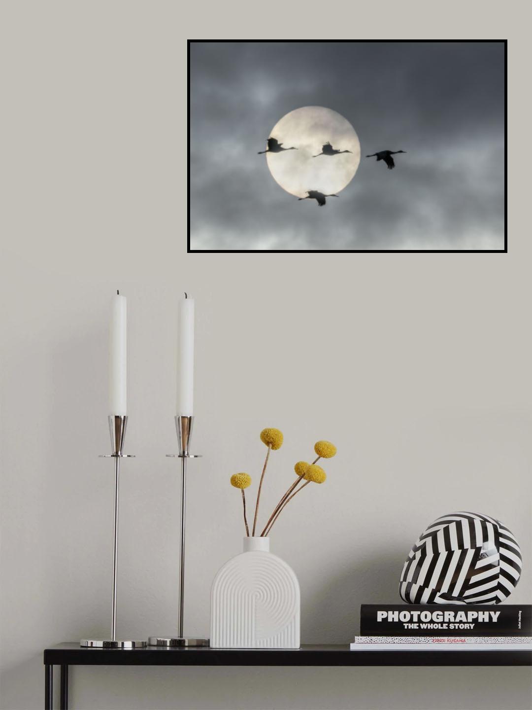 Flying High Poster och Canvastavla