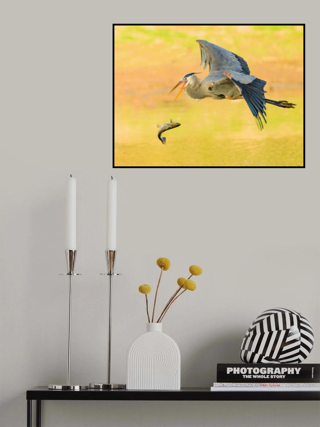 Great blue heron lost its fish Poster och Canvastavla