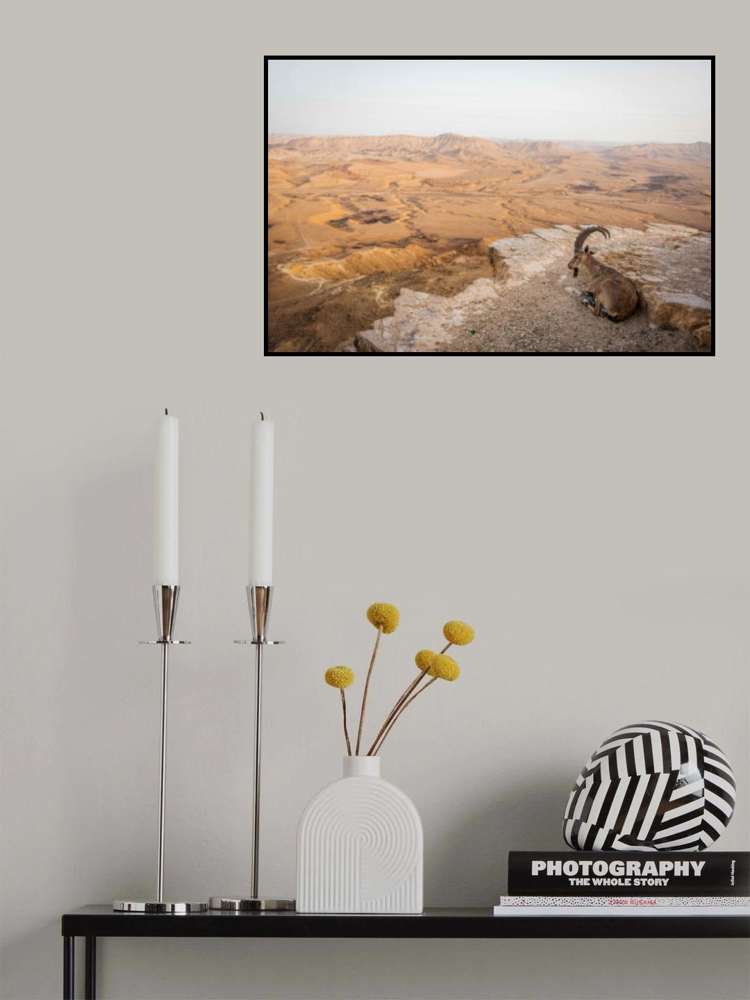 viewpoint Poster och Canvastavla