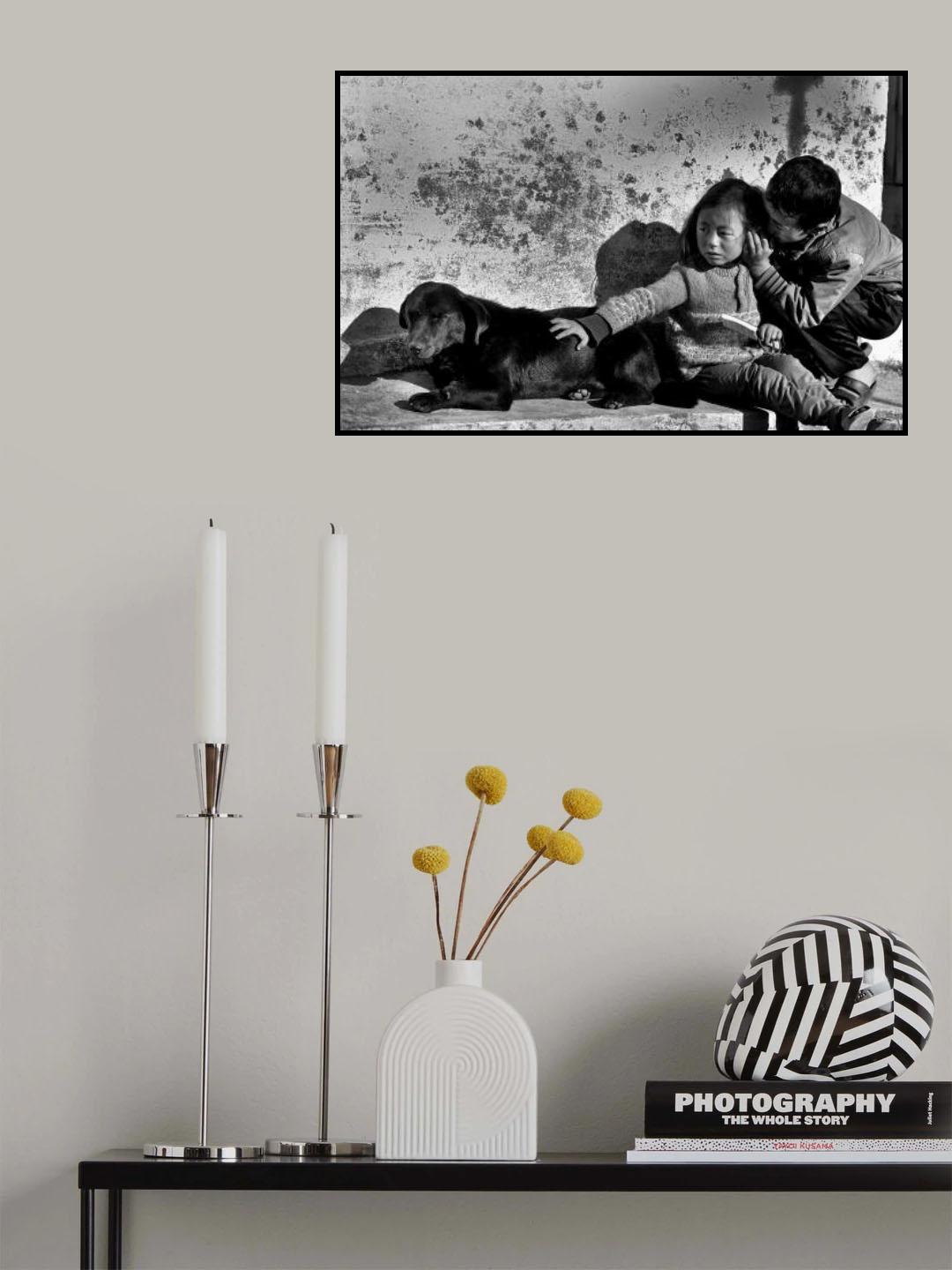 COMPANION Poster och Canvastavla