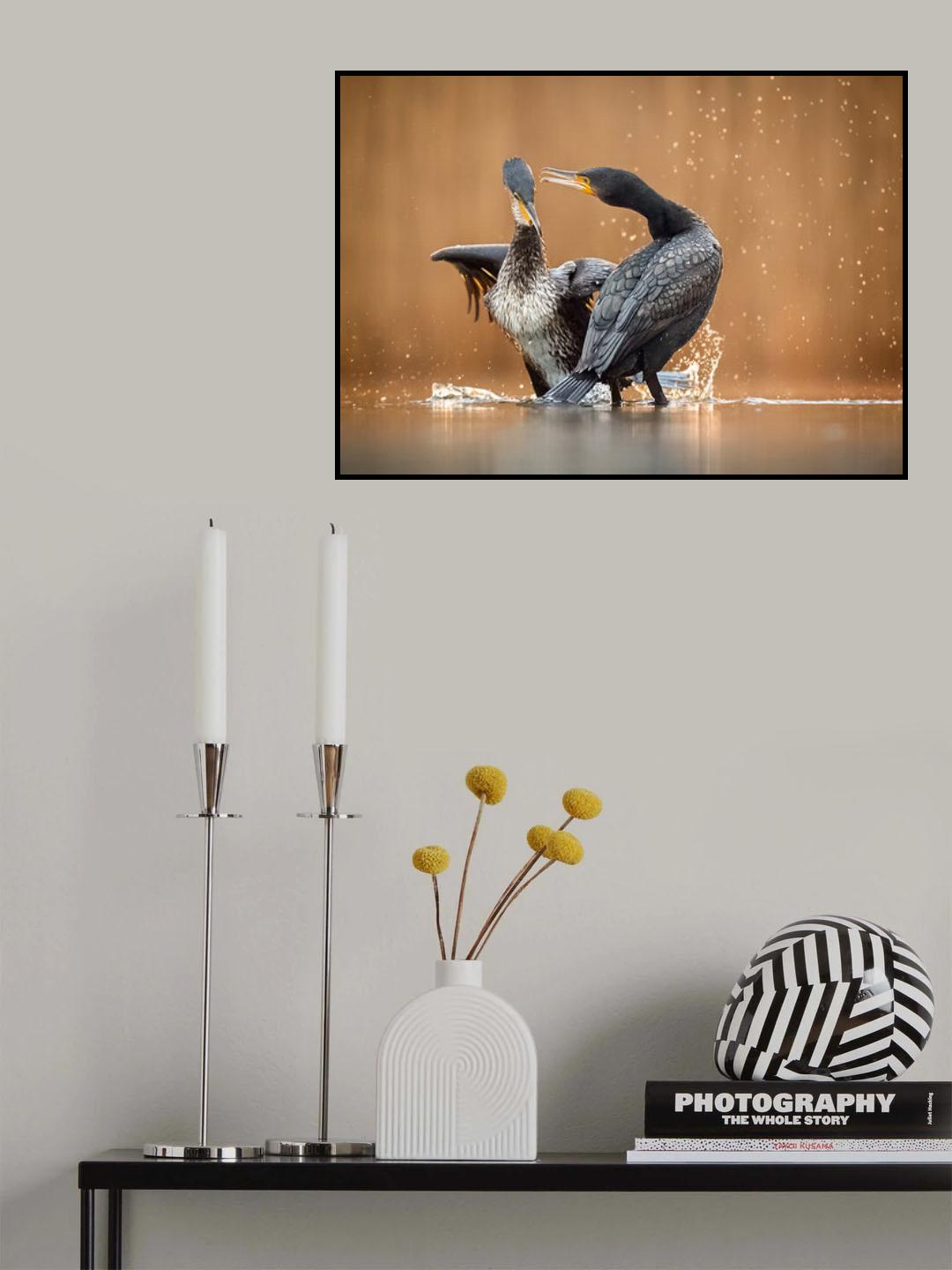 Let's dancing Poster och Canvastavla