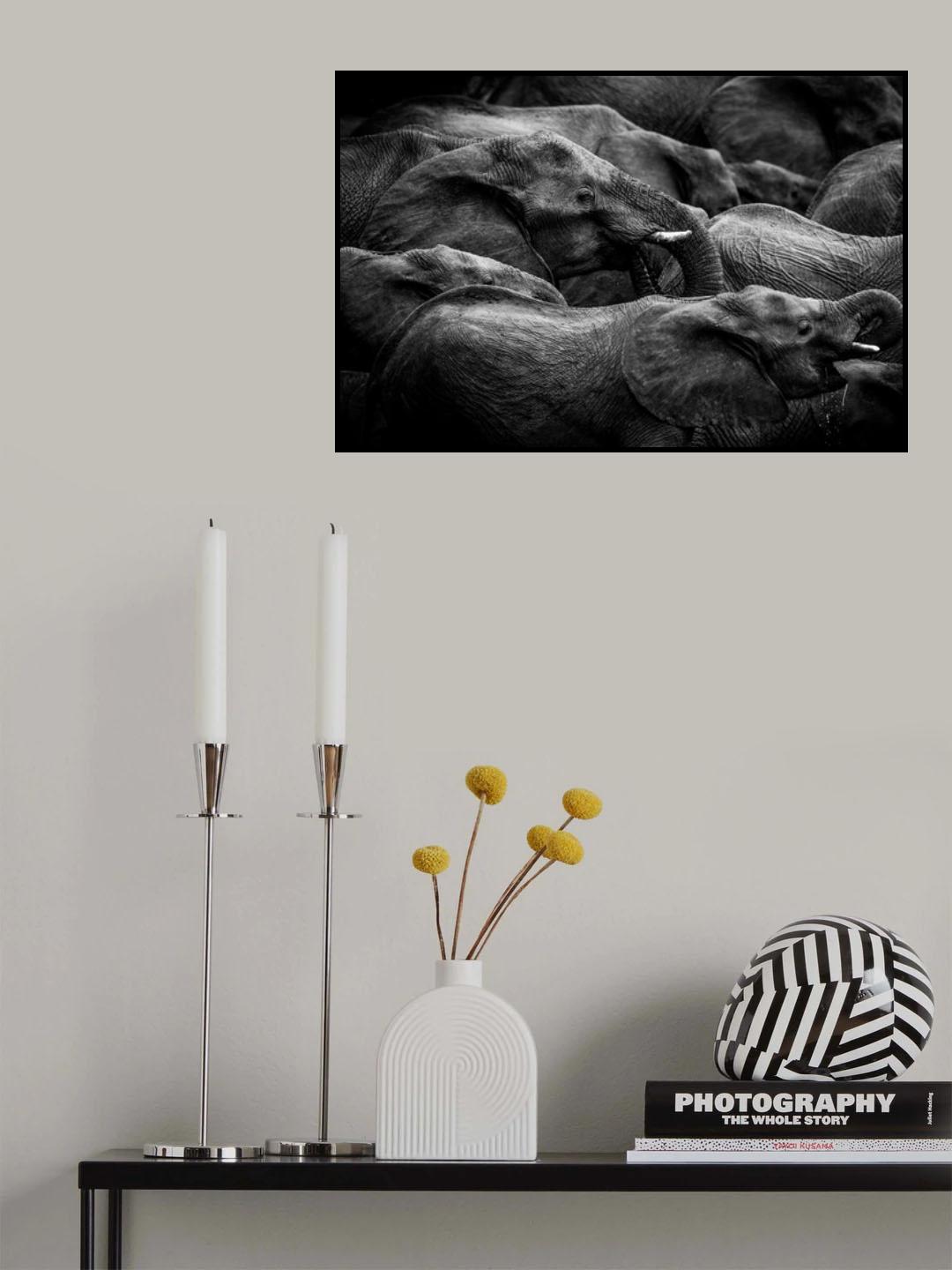 Elephant herd Poster och Canvastavla