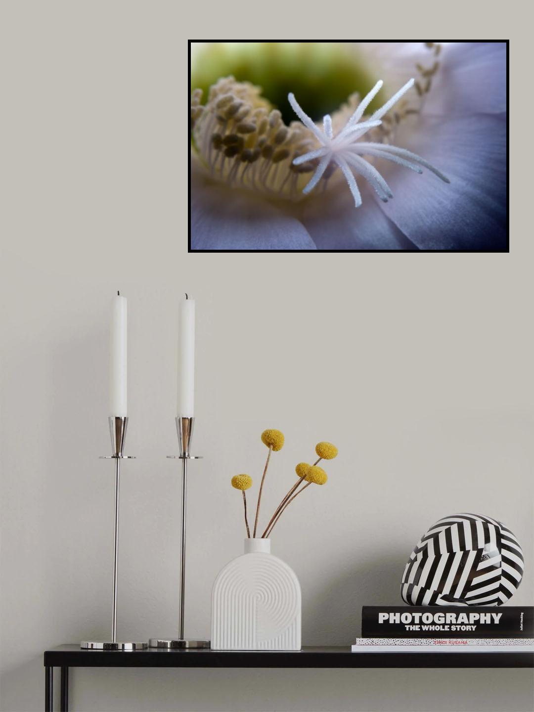 Poster och Canvastavla
