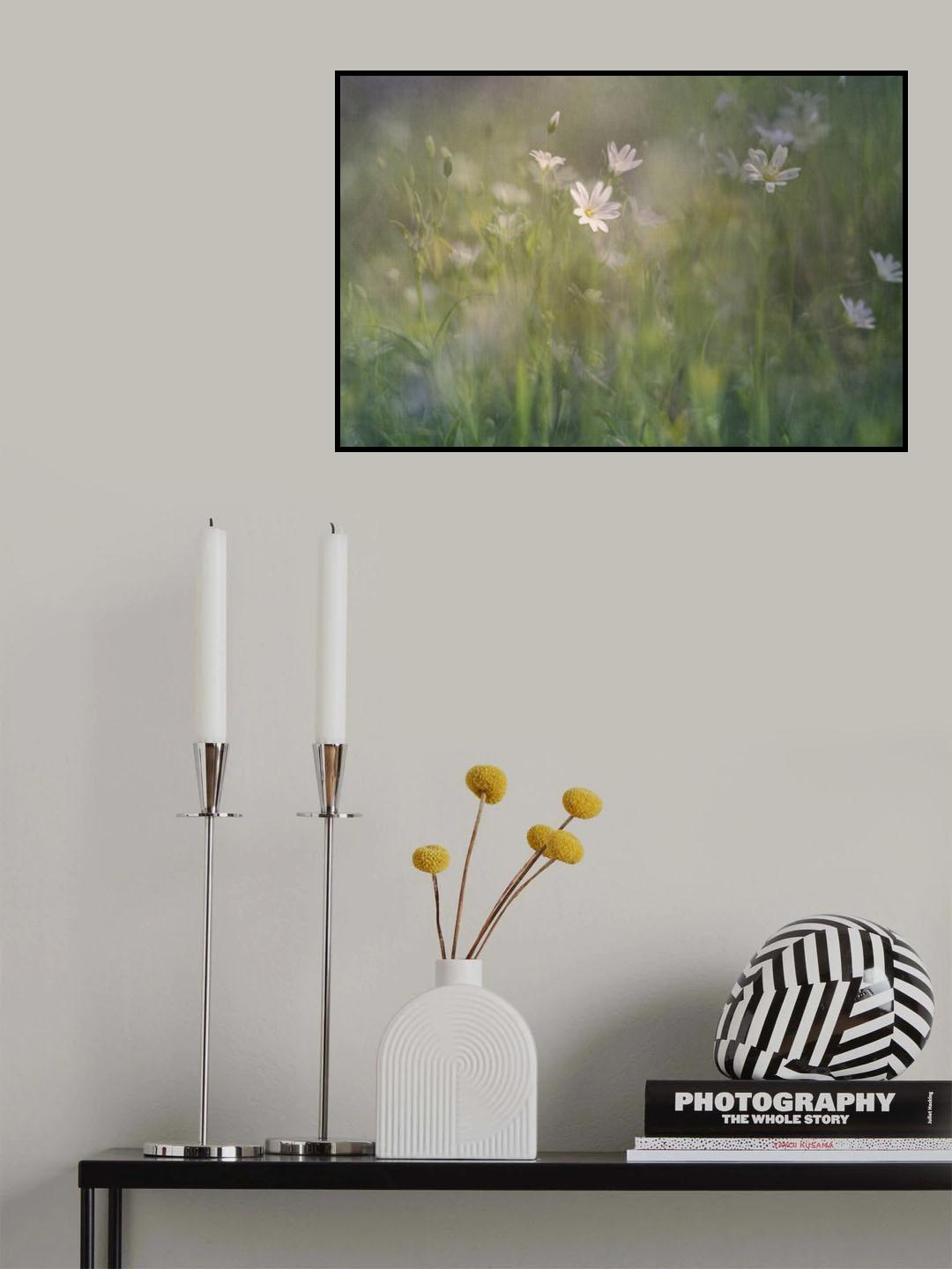 A glade in the woods Poster och Canvastavla