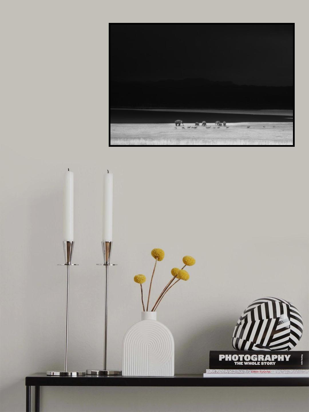 monochrome moods Poster och Canvastavla