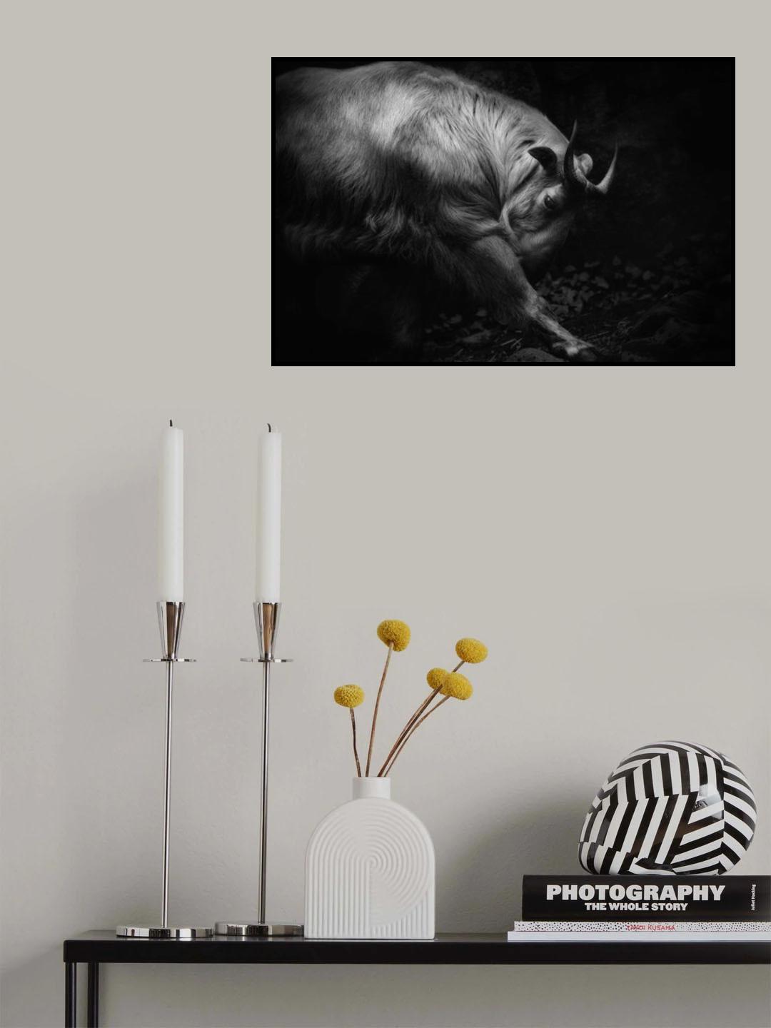 Stretch legs Poster och Canvastavla