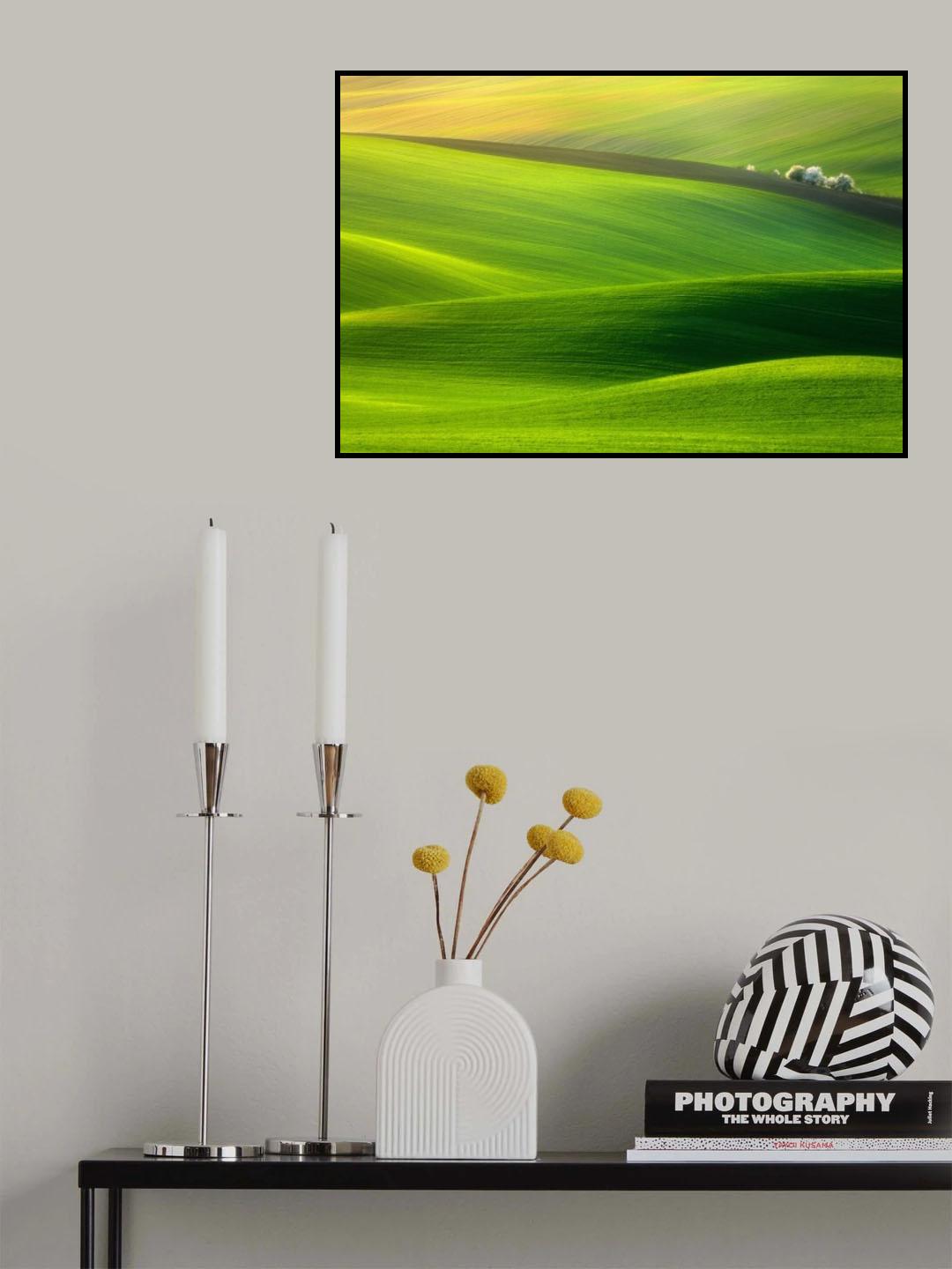 Spring time... Poster och Canvastavla