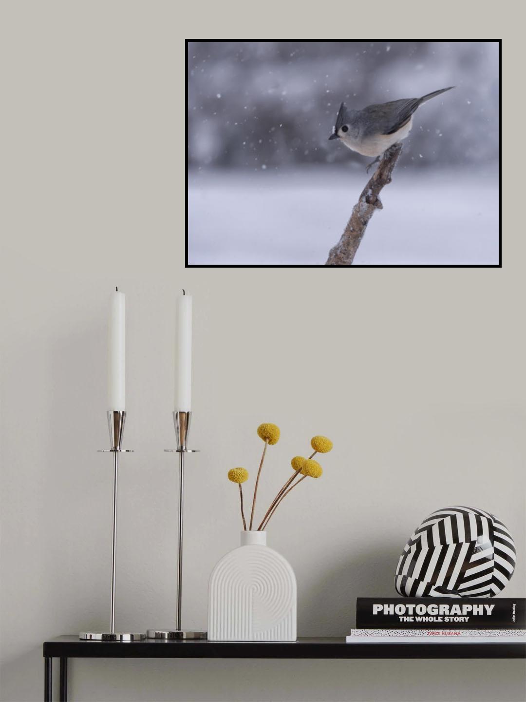 slippery 小心翼翼 Poster och Canvastavla