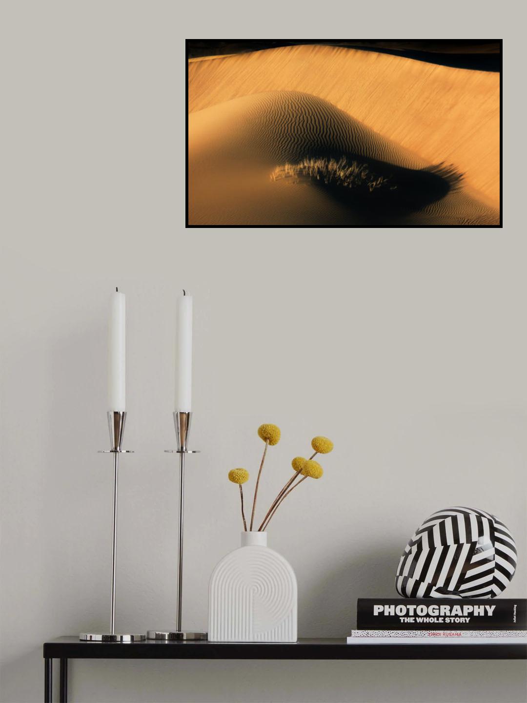 The eyelashes of desert Poster och Canvastavla