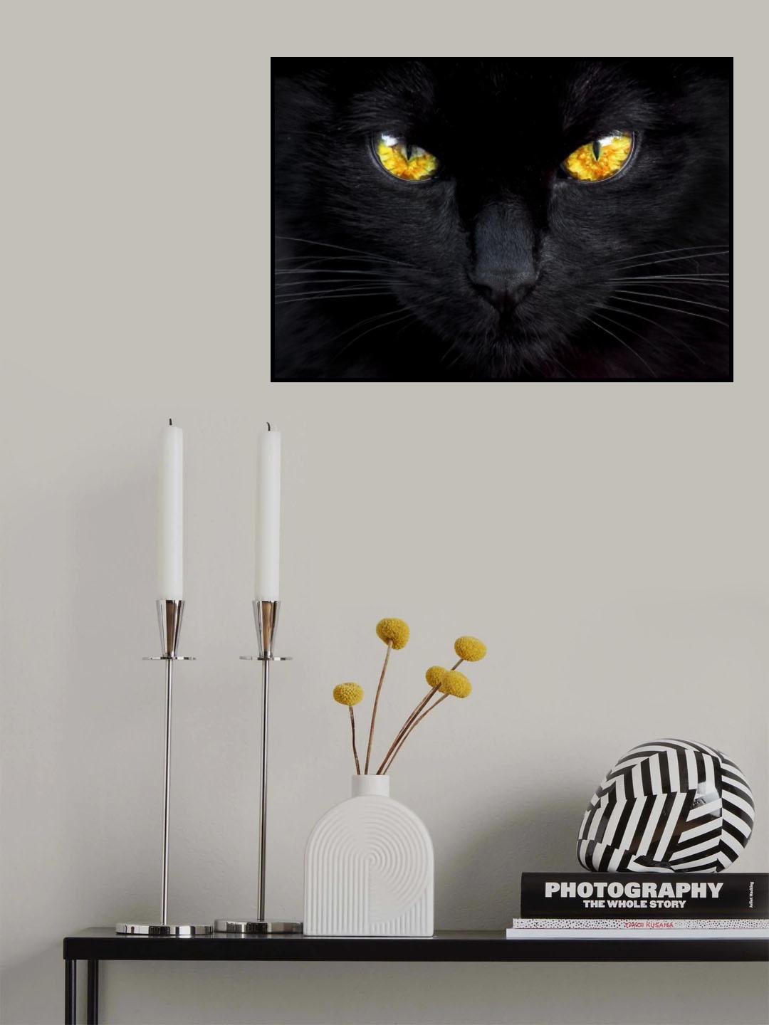 The hypnotist of the night Poster och Canvastavla