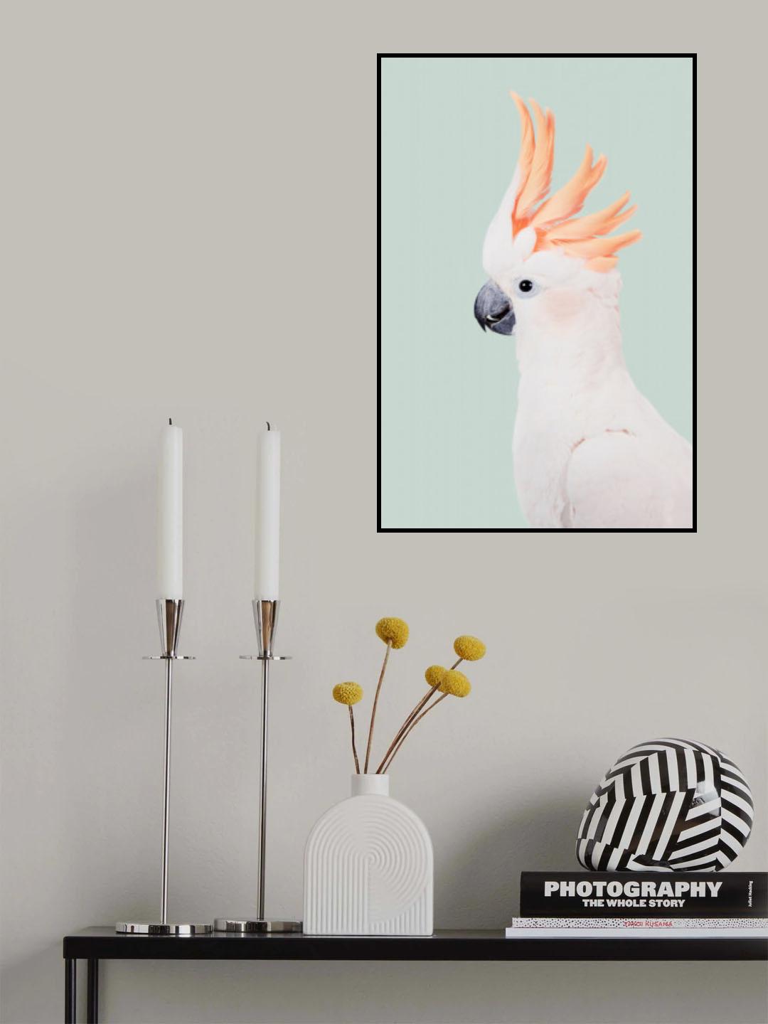 Cockatoo Poster och Canvastavla