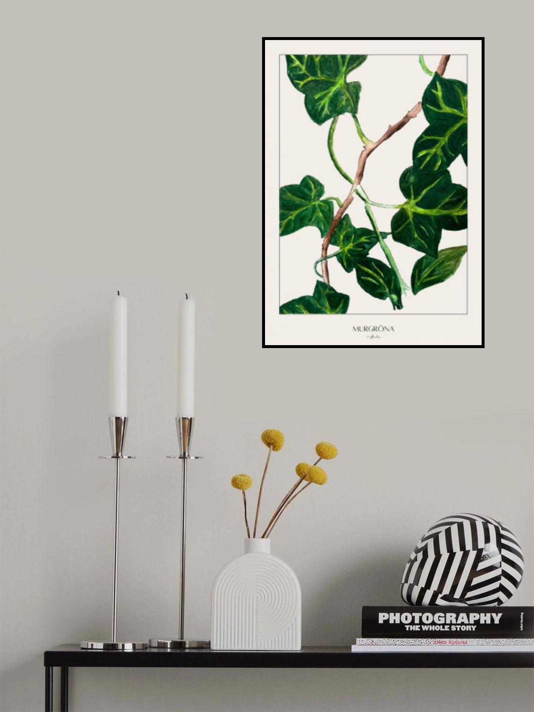 Murgröna Poster och Canvastavla