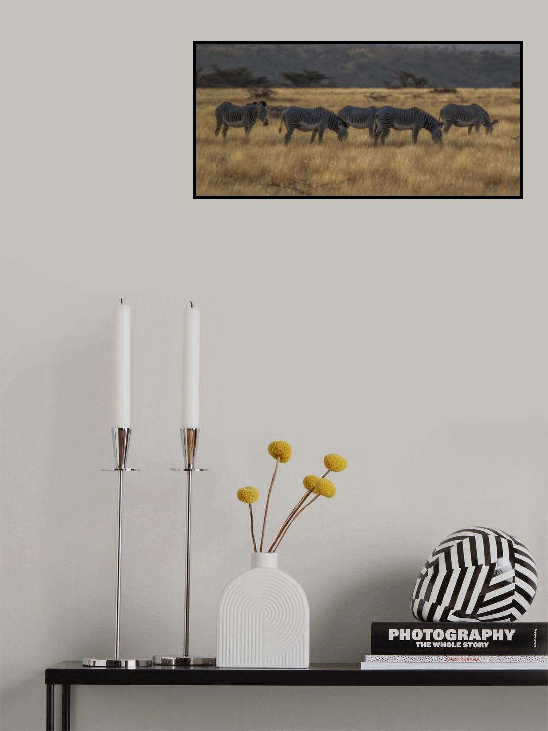 zebra crossing Poster och Canvastavla