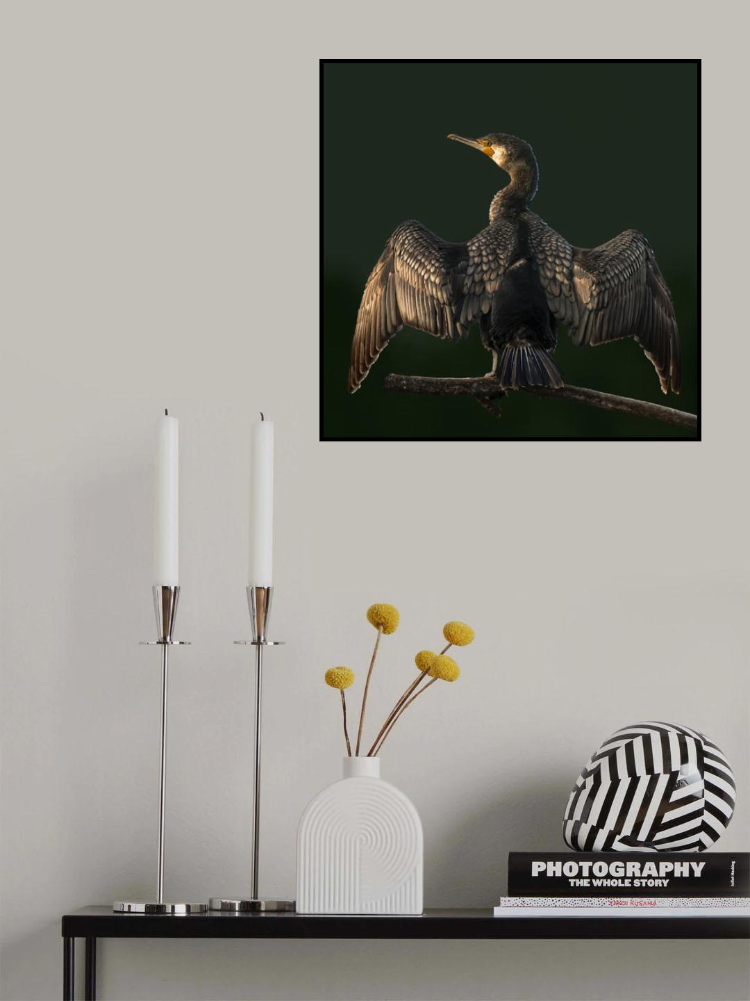 Cormorant Poster och Canvastavla