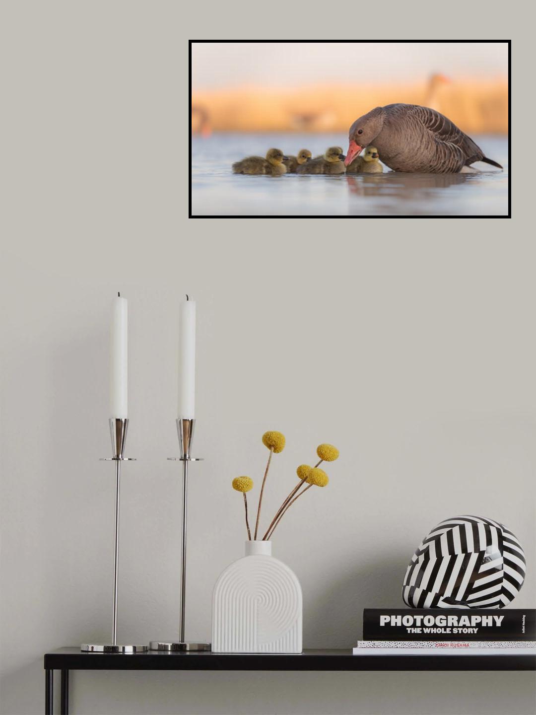 happy family Poster och Canvastavla