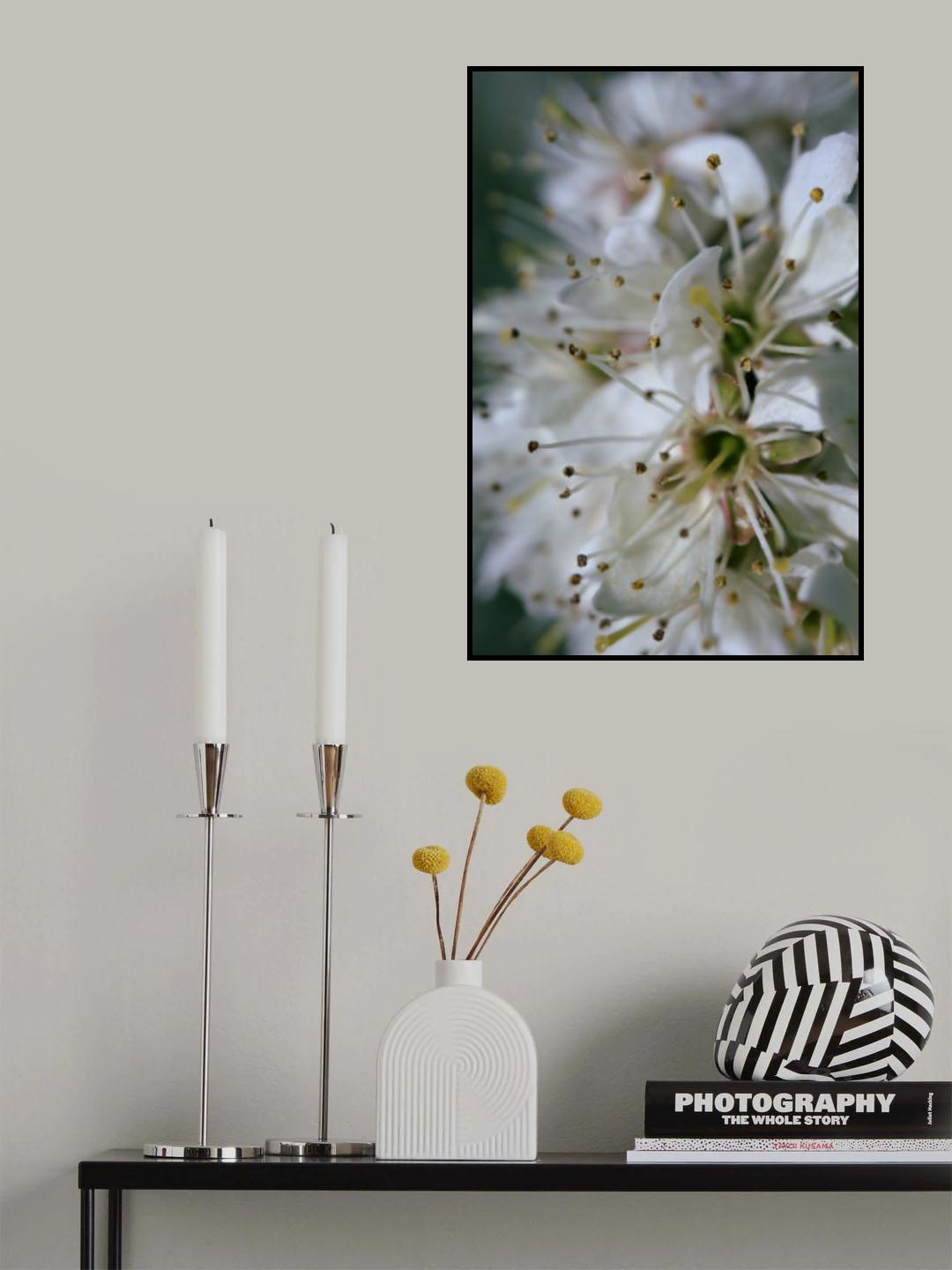 Spring blooms II Poster och Canvastavla