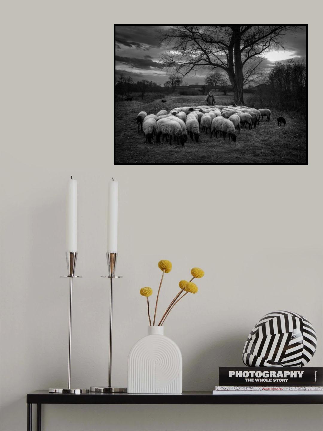 Poster och Canvastavla