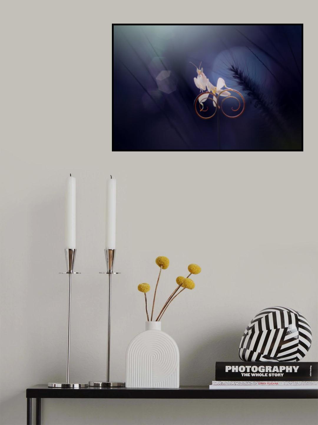Riding a Bicycle Poster och Canvastavla