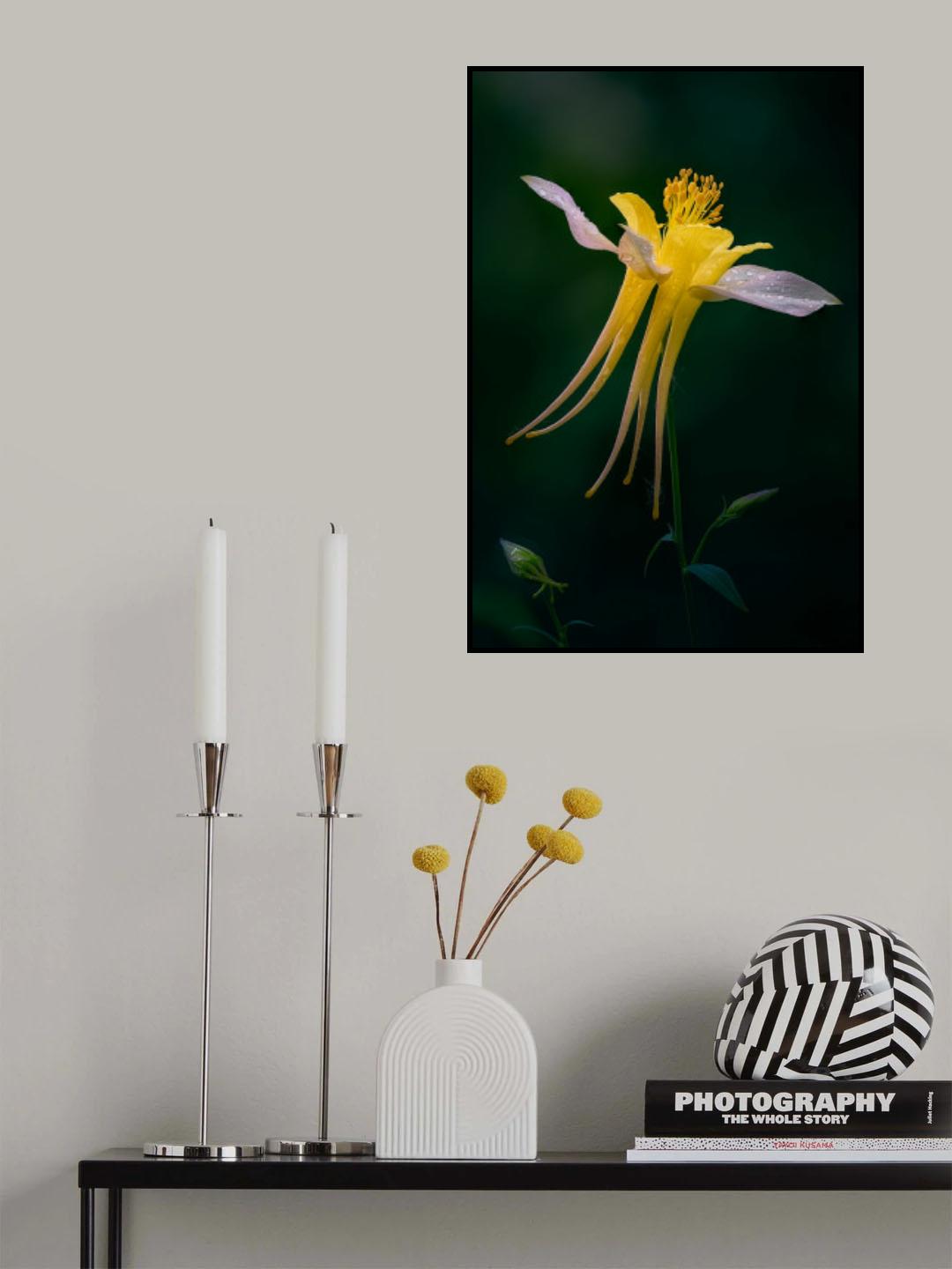 Shining Like Jellyfish Poster och Canvastavla