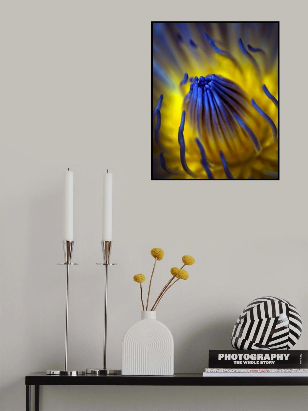 Blow Up Poster och Canvastavla