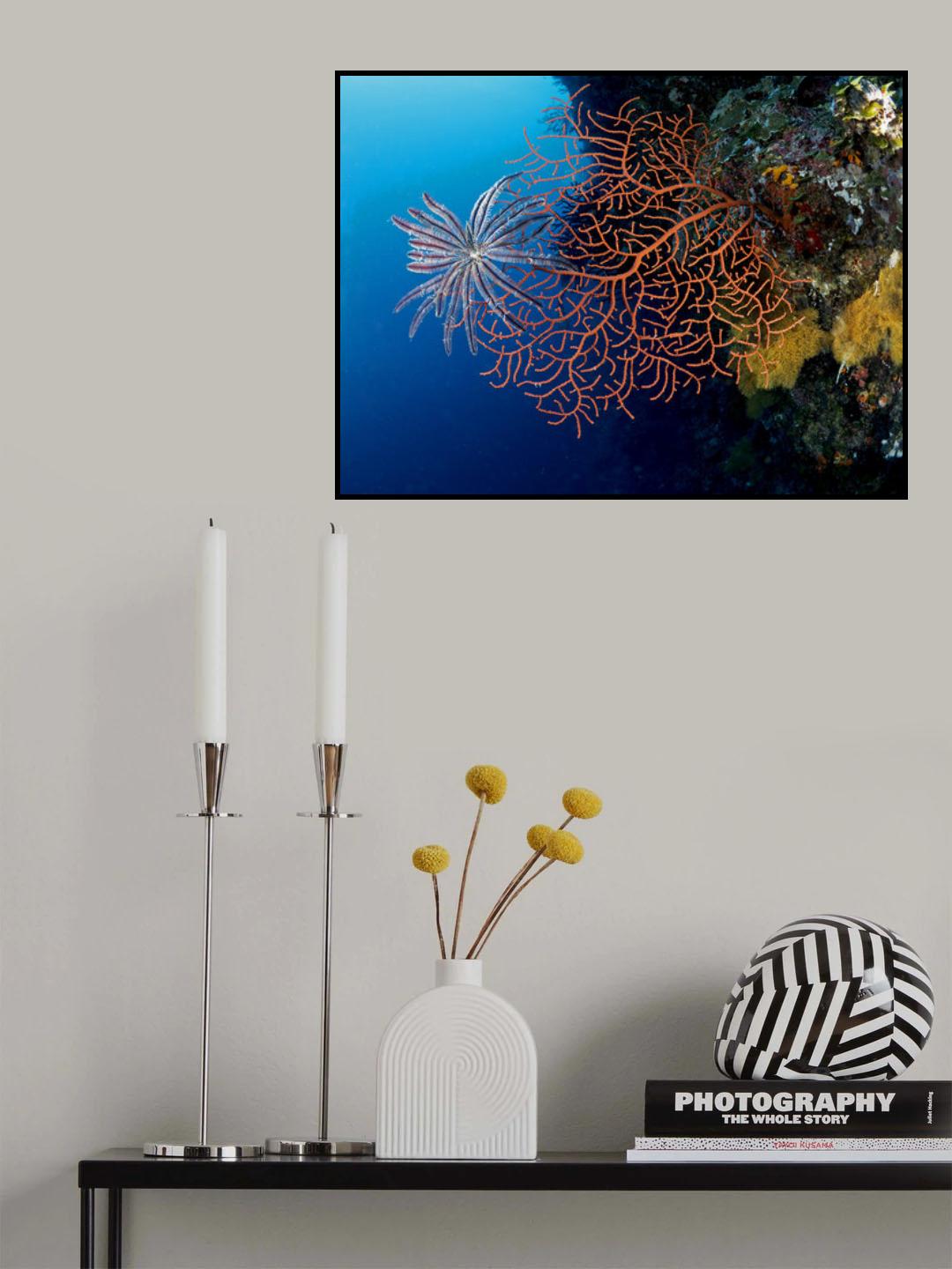 Gorgonia and a Criniod Poster och Canvastavla