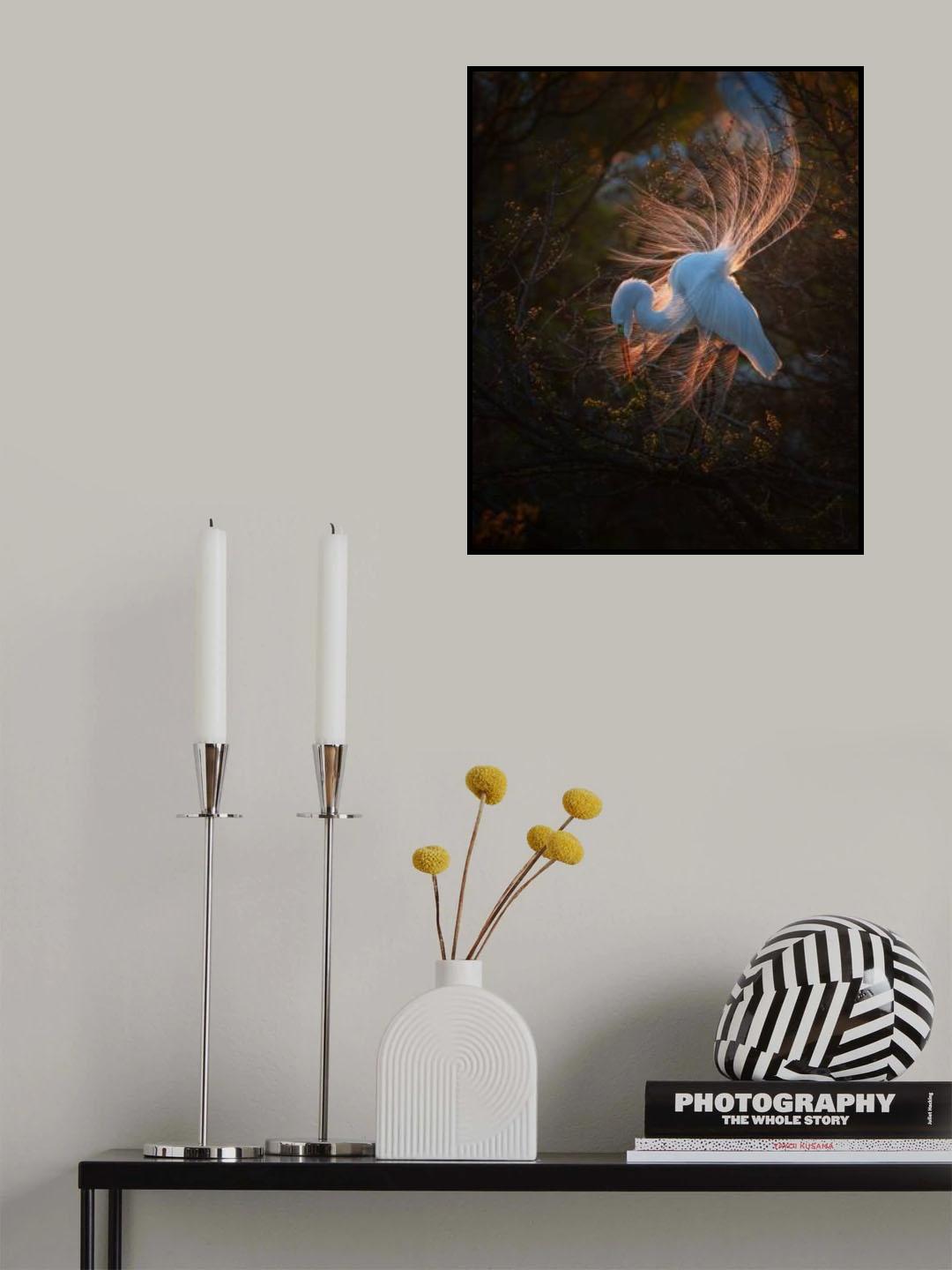 The dancer Poster och Canvastavla