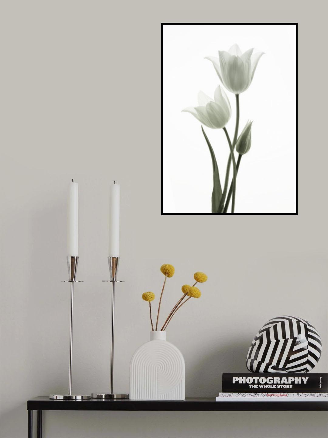 Tulips Poster och Canvastavla