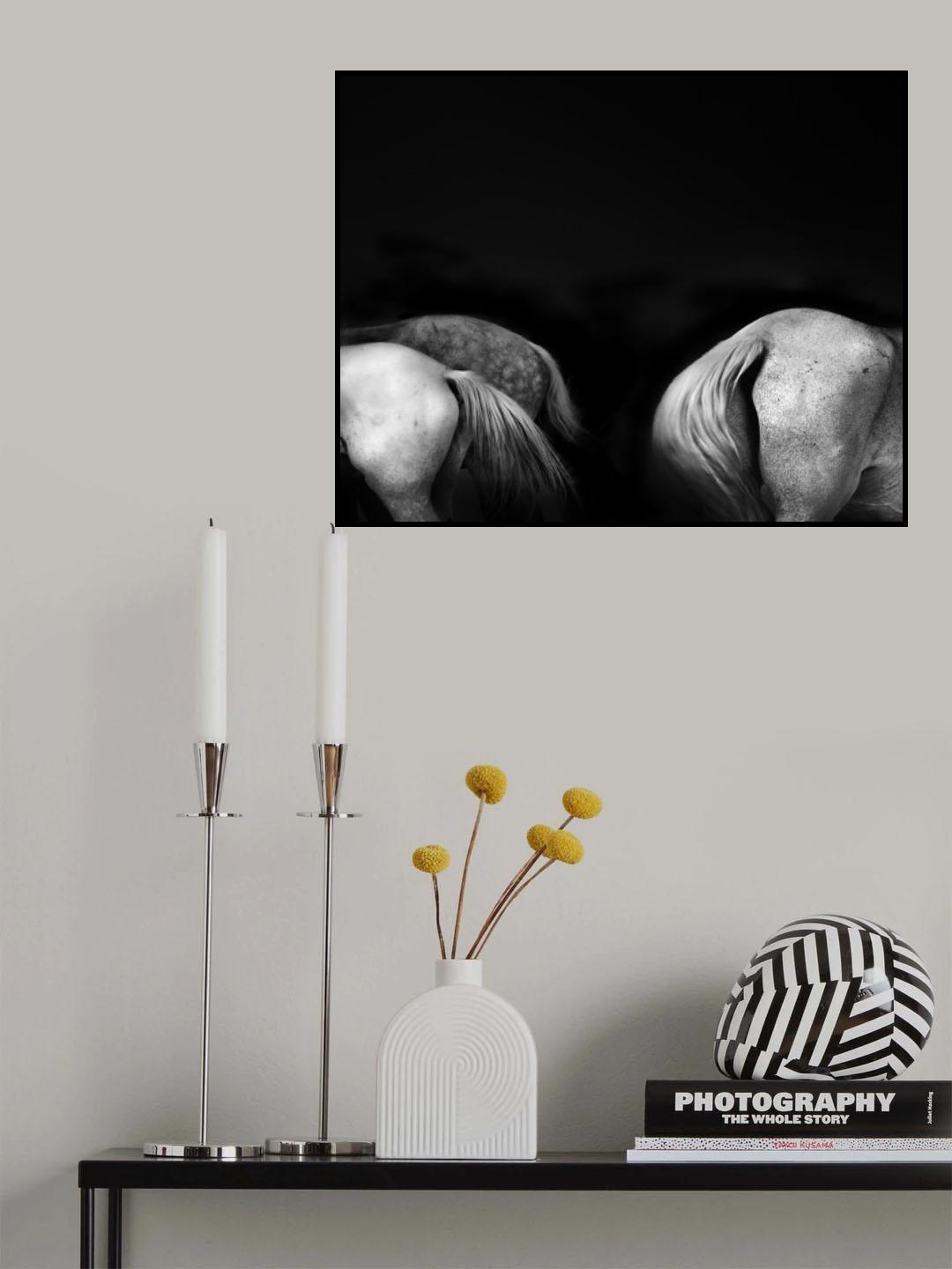 Tail ends Poster och Canvastavla