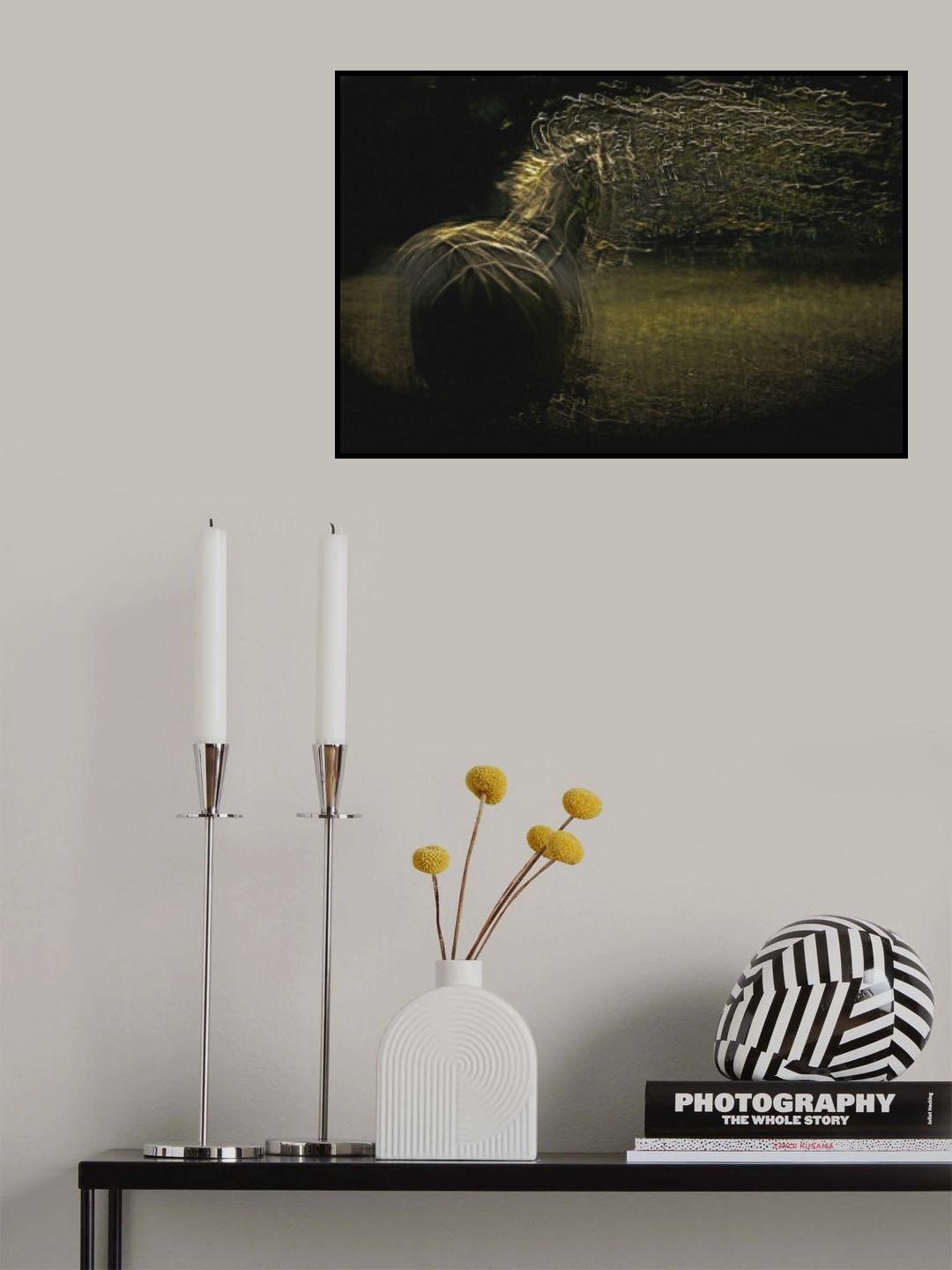 equs Poster och Canvastavla