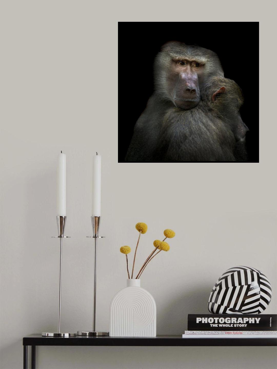 Monkeys Poster och Canvastavla