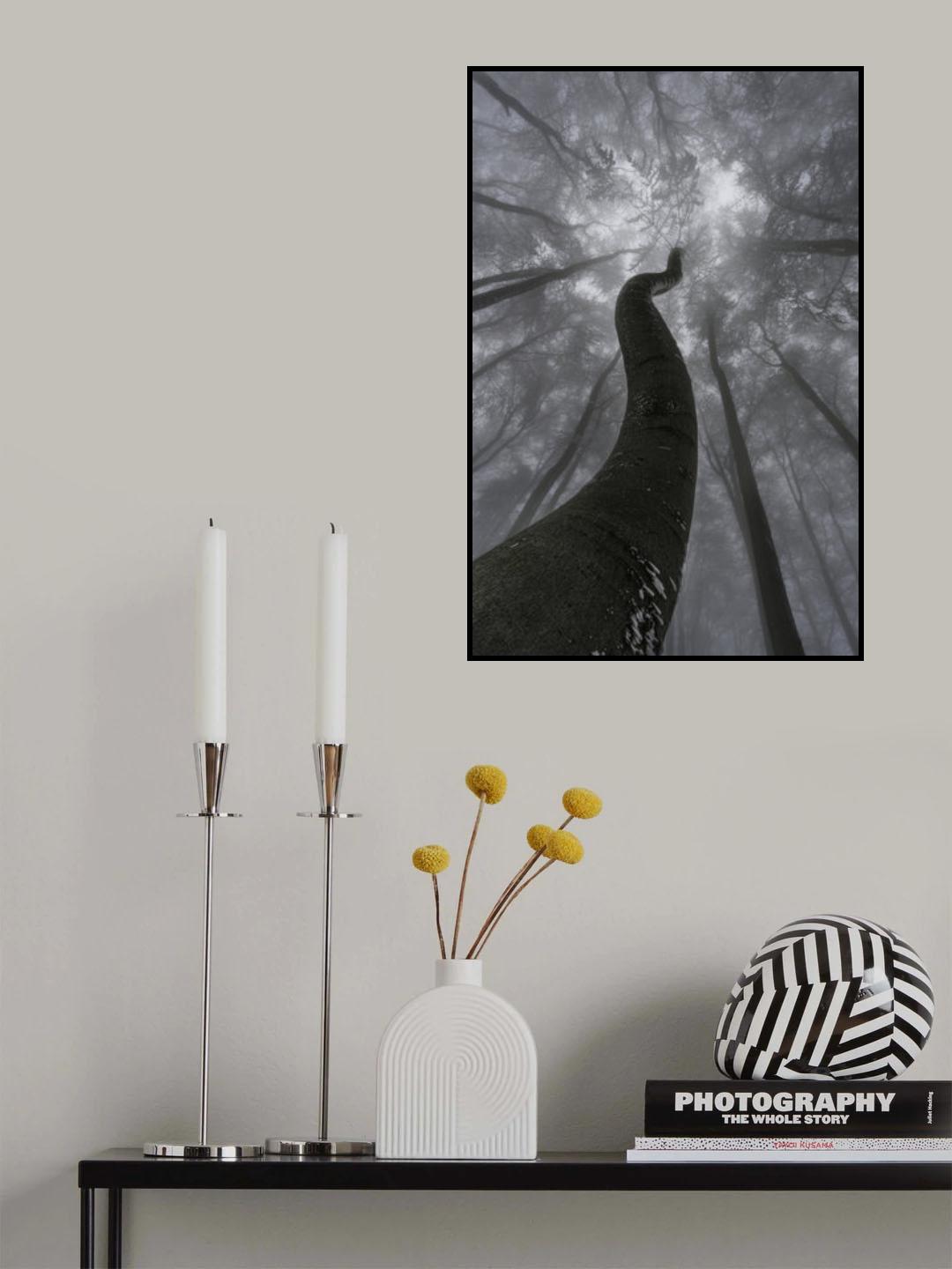 Looking up Poster och Canvastavla