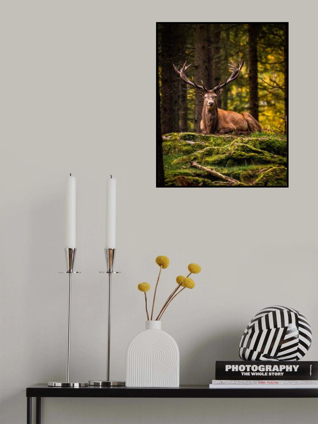 Crown of a king Poster och Canvastavla