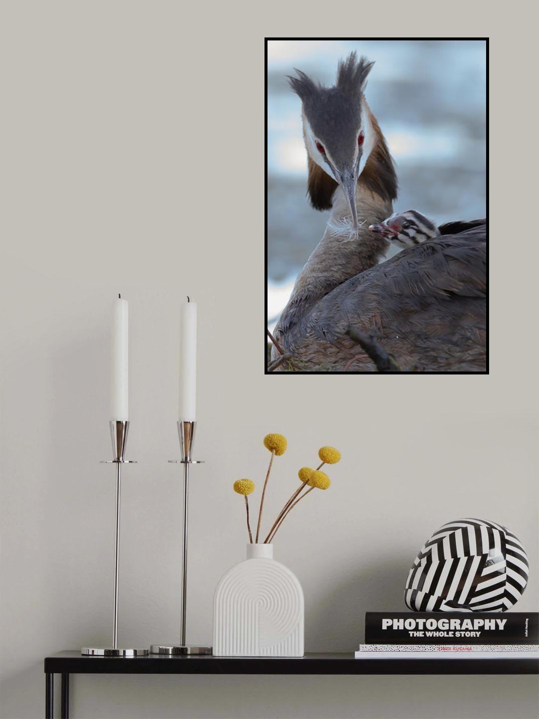 Svasso Poster och Canvastavla
