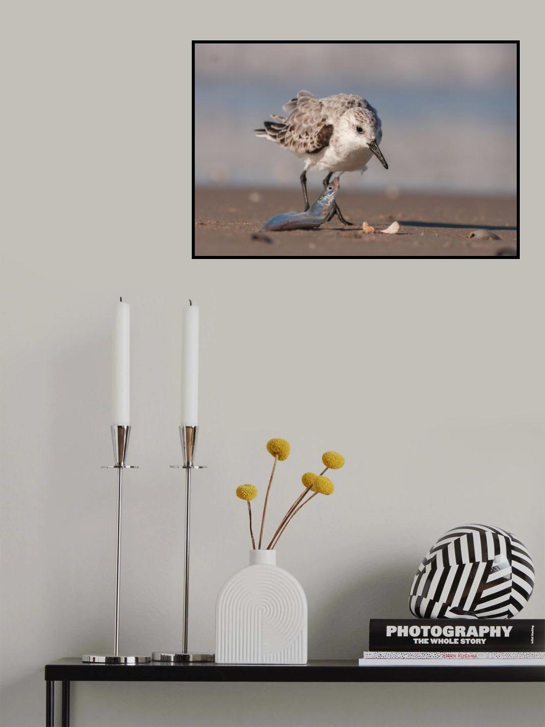 please Poster och Canvastavla