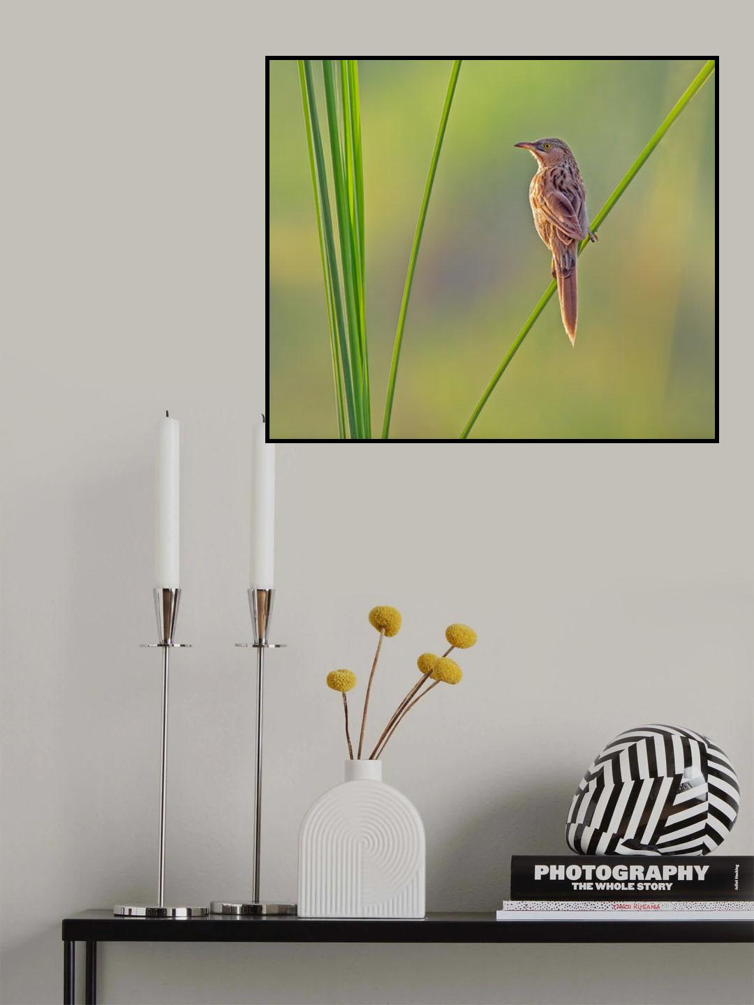 Bebbler Poster och Canvastavla