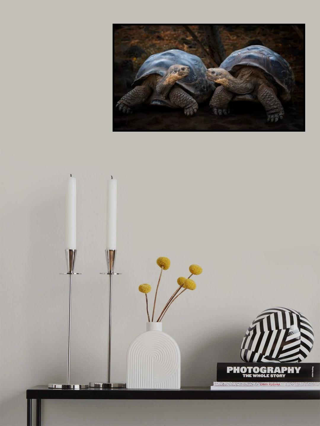 connection Poster och Canvastavla