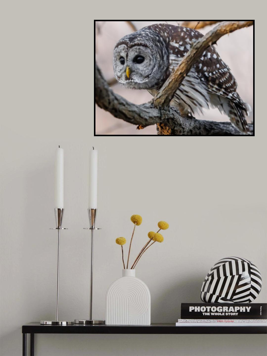 Watdching Poster och Canvastavla