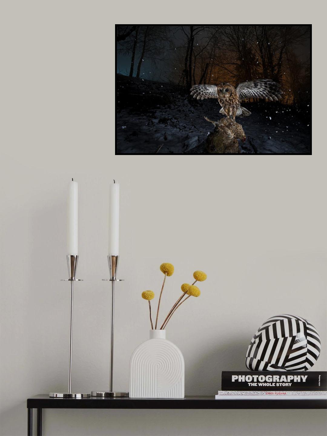 Tawny owl red in a snow storm Poster och Canvastavla