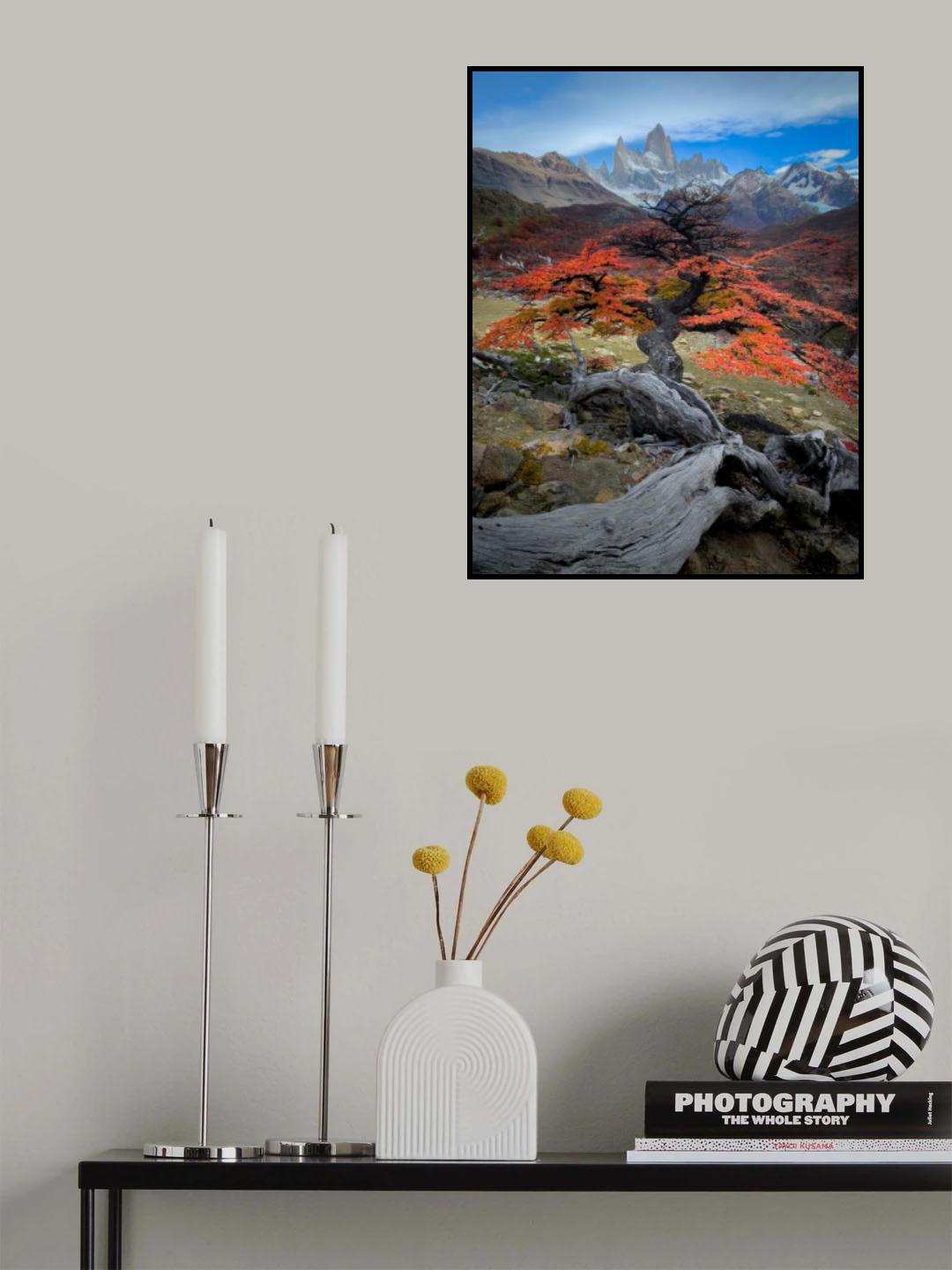 Autum in Fitz Roy Poster och Canvastavla