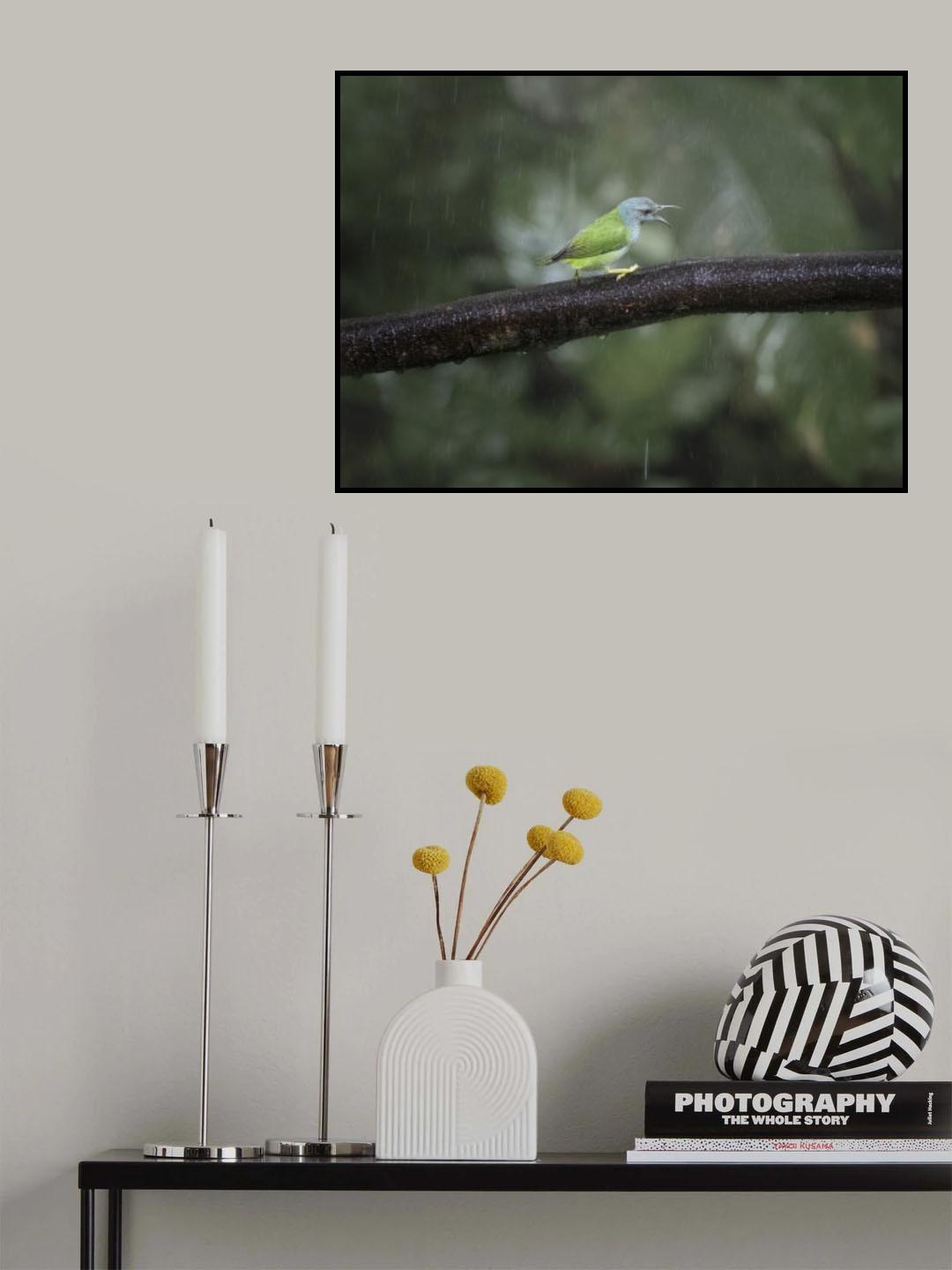 Poster och Canvastavla