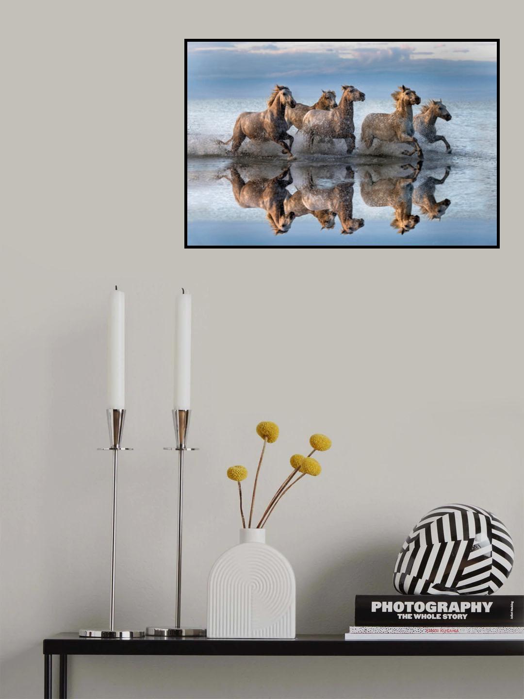 Horses and reflection Poster och Canvastavla