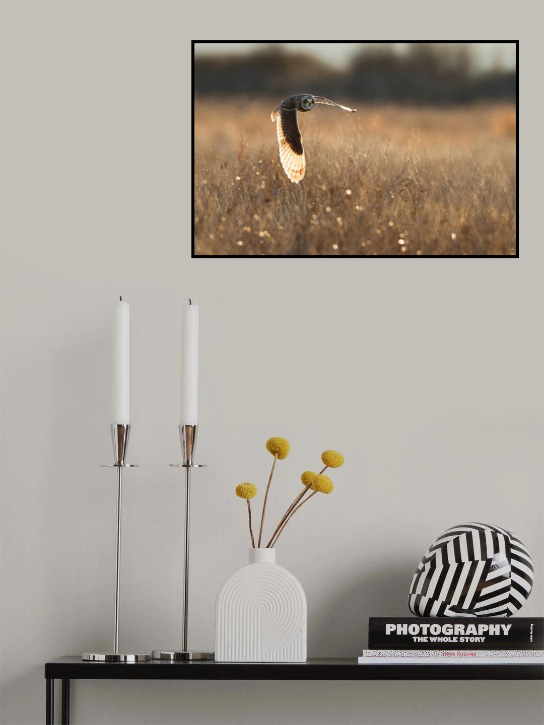 Backlit Wing Poster och Canvastavla